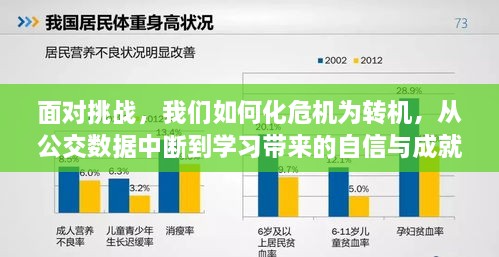 公交数据中断的挑战与转机，学习引领自信与成就之路