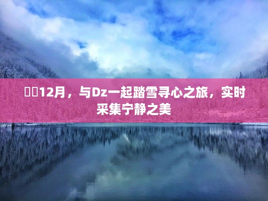 十二月踏雪寻心之旅，与Dz共赴宁静之美实时采集之旅