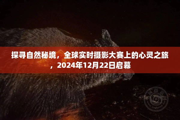 全球实时摄影大赛探寻自然秘境，心灵之旅启程于2024年12月22日