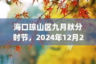 海口琼山区九月秋分天气纪实，2024年12月22日的气候影响与观察