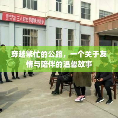 穿越喧嚣公路，友情与陪伴的温暖之旅