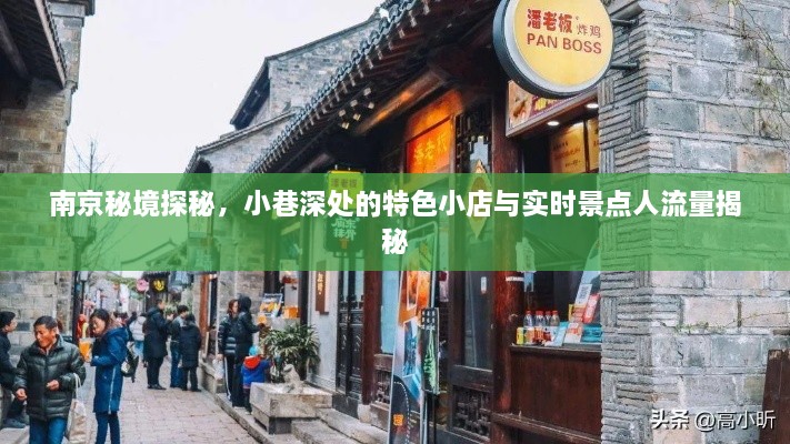 南京深度游探秘，小巷特色小店与实时景点流量揭秘