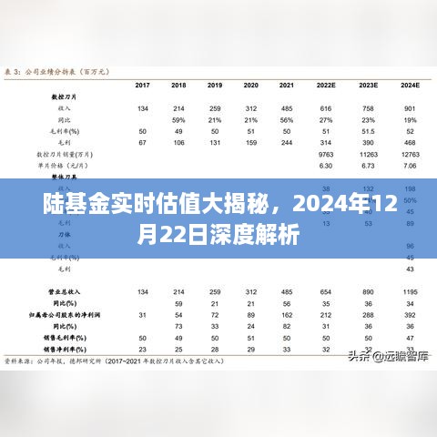 陆基金实时估值深度解析，2024年12月22日揭秘日报告