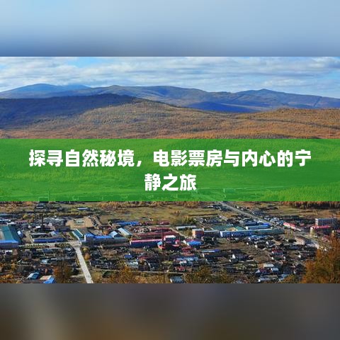 探寻自然秘境，电影票房与心灵宁静之旅的探寻