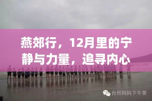 2024年12月23日 第5页