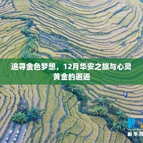 追寻金色梦想，华安之旅的心灵黄金邂逅之旅