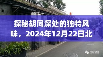 探秘胡同深处的独特风味，北京实时公交苹果版特色小店之旅（2024年12月22日）