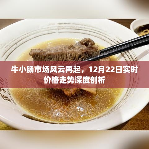 牛小肠市场风云变幻，实时价格走势深度剖析（12月22日）