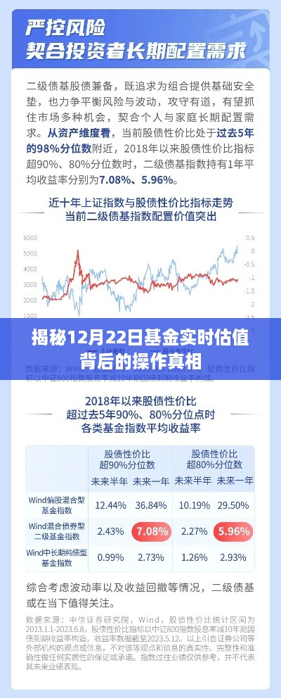 揭秘基金实时估值背后的操作真相，深度解析12月22日数据动态