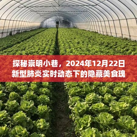 探秘崇明小巷，美食瑰宝与新型肺炎实时动态下的隐秘风情（XXXX年XX月XX日）