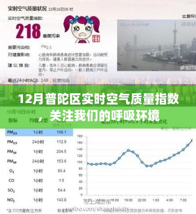 2024年12月25日 第12页