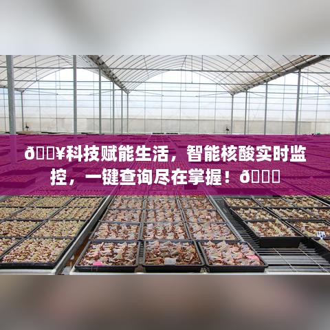 科技赋能生活，智能核酸实时监控一键查询系统亮相！