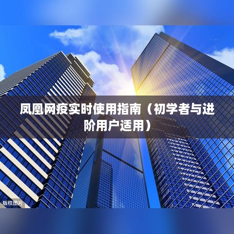 凤凰网疫实时使用指南，适合初学者与进阶用户