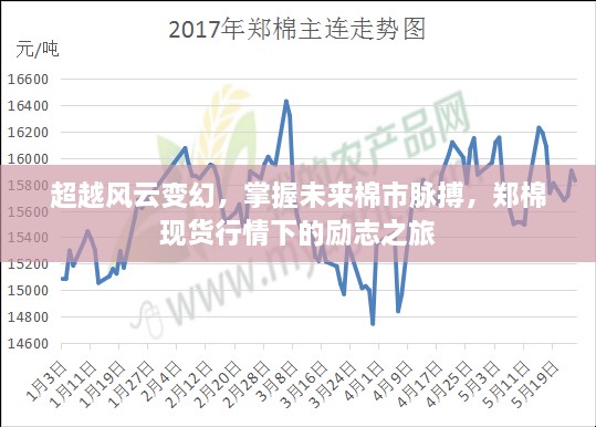 超越风云变幻，掌握未来棉市脉搏的励志之旅