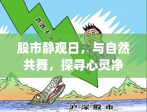 股市观察日，与自然和谐共舞，探寻内心宁静之地