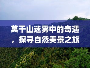 莫干山迷雾中的自然奇遇探索之旅