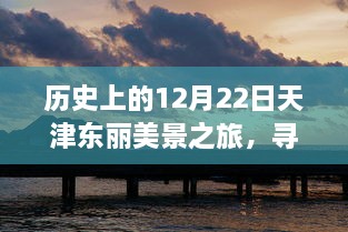 历史上的天津东丽美景之旅，探寻心灵宁静与自然魔法的秘密