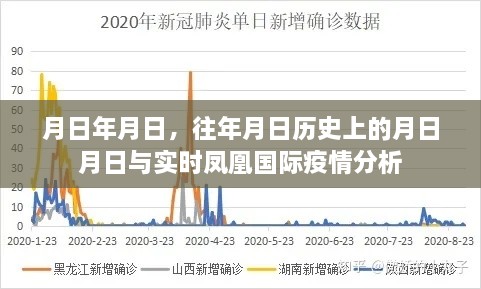 凤凰国际疫情分析，历史与实时动态观察