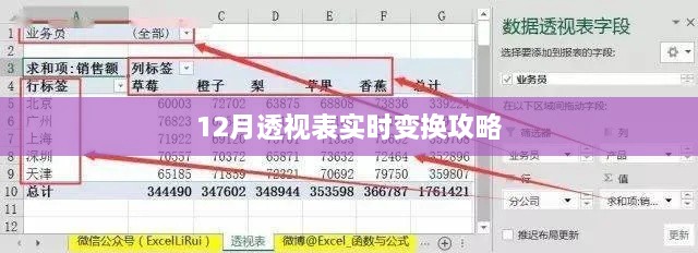 实时透视表变换指南，掌握12月数据变化秘籍