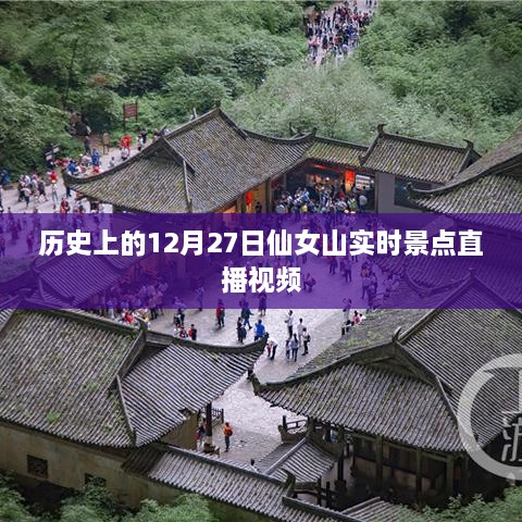 仙女山直播回顾，历史性的12月27日景点实况