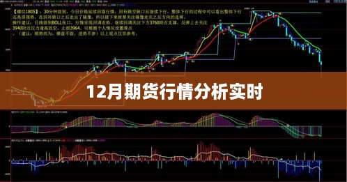 12月期货行情深度解析与实时动态