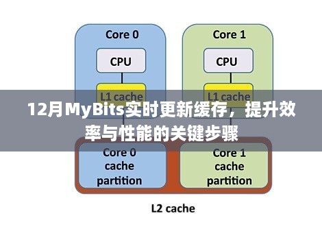 MyBits实时更新缓存，提升效率与性能的秘诀