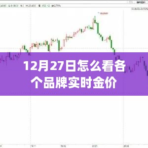 12月27日品牌实时金价查询攻略