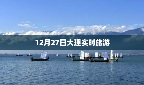 大理实时旅游动态，12月27日最新更新