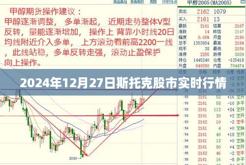 斯托克股市实时行情（最新动态）