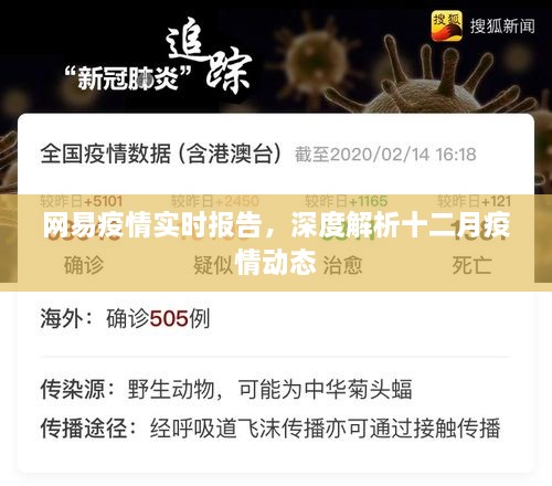 网易疫情实时报告，深度解析十二月疫情动态分析