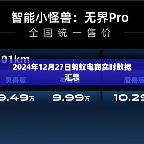 蚂蚁电商实时数据报告，深度解析2024年12月27日交易概况