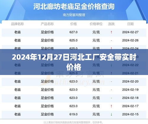 河北工厂安全带最新实时价格（2024年12月27日）