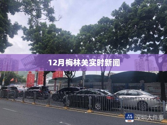 12月梅林关最新实时新闻报道