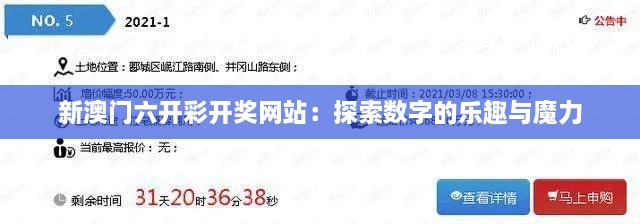 新澳门六开彩开奖网站：探索数字的乐趣与魔力