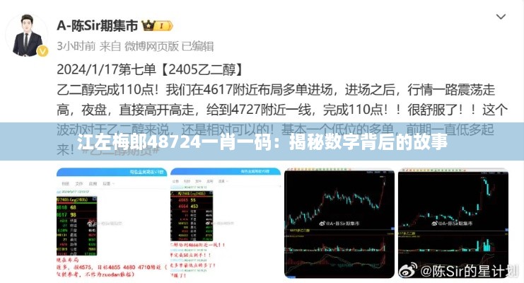 江左梅郎48724一肖一码：揭秘数字背后的故事