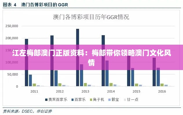 江左梅郎澳门正版资料：梅郎带你领略澳门文化风情