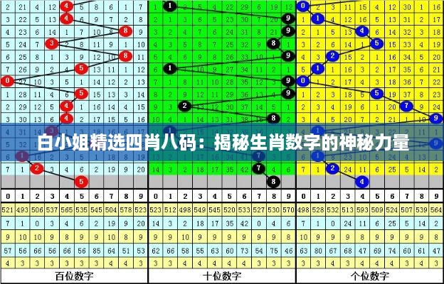 白小姐精选四肖八码：揭秘生肖数字的神秘力量