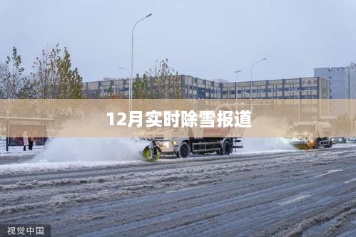 12月实时除雪进展报道