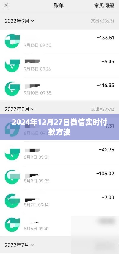 微信实时付款方法指南，快速掌握2024年支付流程