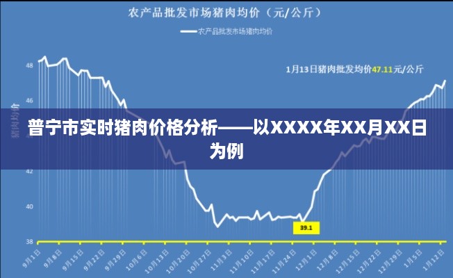 普宁猪肉价格实时分析——日期XXXX年XX月XX日