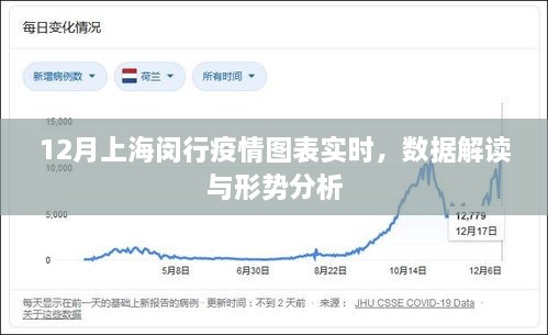 上海闵行疫情实时图表解读与形势分析