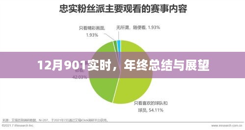 年终总结与展望，聚焦12月901实时动态