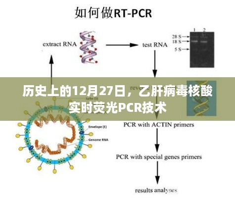 乙肝病毒核酸实时荧光PCR技术的历史发展日回溯