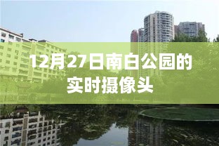 南白公园实时摄像头记录，冬日美景一瞥