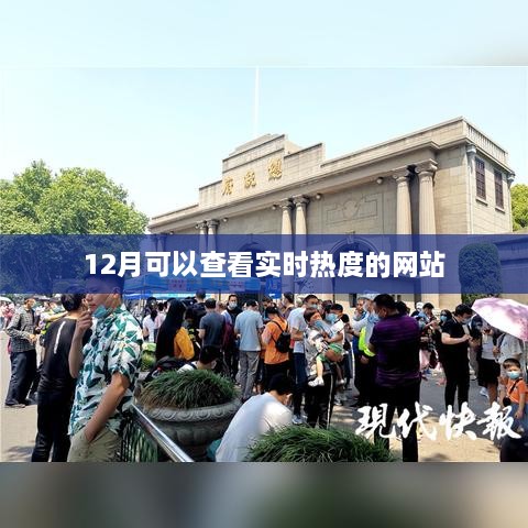 实时热度查询网站，12月热度尽在掌握