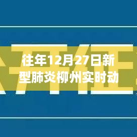 柳州新型肺炎实时动态，历年12月27日情况更新