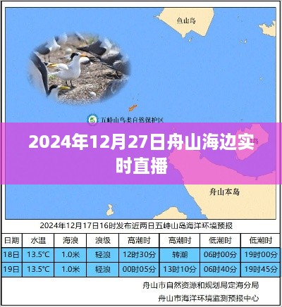 2024年12月 第19页