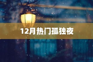 孤独夜，揭秘十二月热门话题