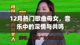 母女情深共鸣曲，12月热门歌曲盘点