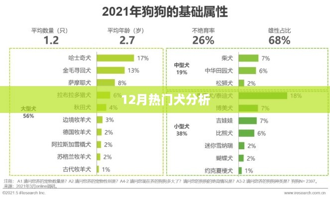 12月热门犬种深度解析